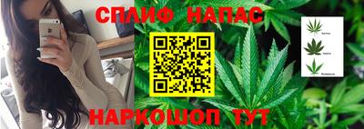 ПСИЛОЦИБИНОВЫЕ ГРИБЫ Сланцы