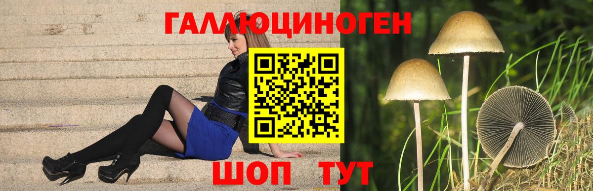 Осинники  Галлюциногенные грибы Psilocybine cubensis  Вход с VPN 